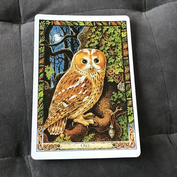 The Druid Animal Oracle Cards Philip & Stephanie Carr-Gomm - Picture 4 of 10